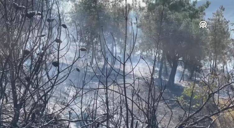 Sakarya'da orman yangını 15